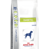 Royal Canin DIABETIC DS37 canine